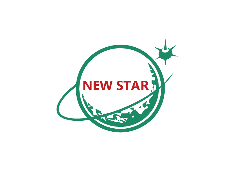 秦光華的新星logo設計